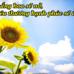 Nguồn gốc của hạnh phúc và bất hạnh