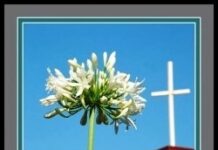 Ti-vi, Radio và Cuộc sống