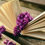 Màu tím, màu của Mùa chay