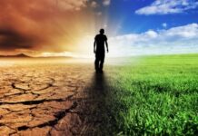 Nguyên tắc để quyết định đúng ý Chúa