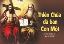 Các bài suy niệm Chúa Nhật Lễ Chúa Ba Ngôi Năm C