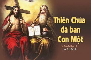 Các bài suy niệm Chúa Nhật Lễ Chúa Ba Ngôi Năm C