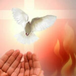 Lửa yêu thương cứu độ