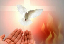 Lửa yêu thương cứu độ