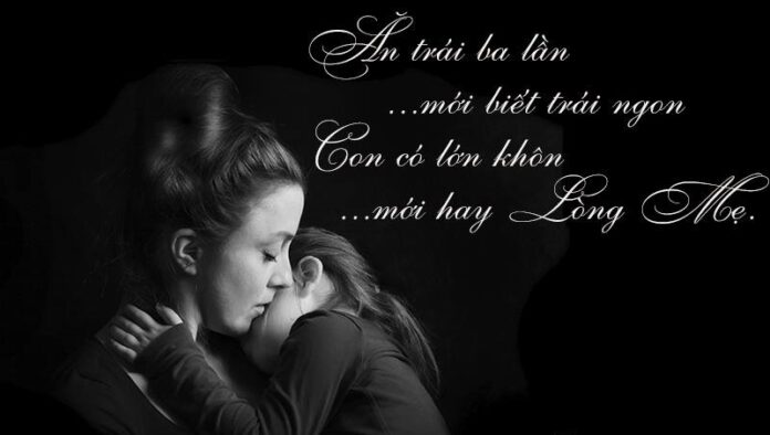 tinh-me-am-ap