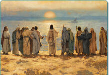 Các bài suy niệm Chúa Nhật 14 Thường Niên Năm C