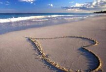 Ông chủ Trương và bát Tào Phớ