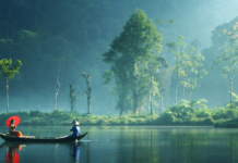 Đời ta đang theo đuổi điều gì?