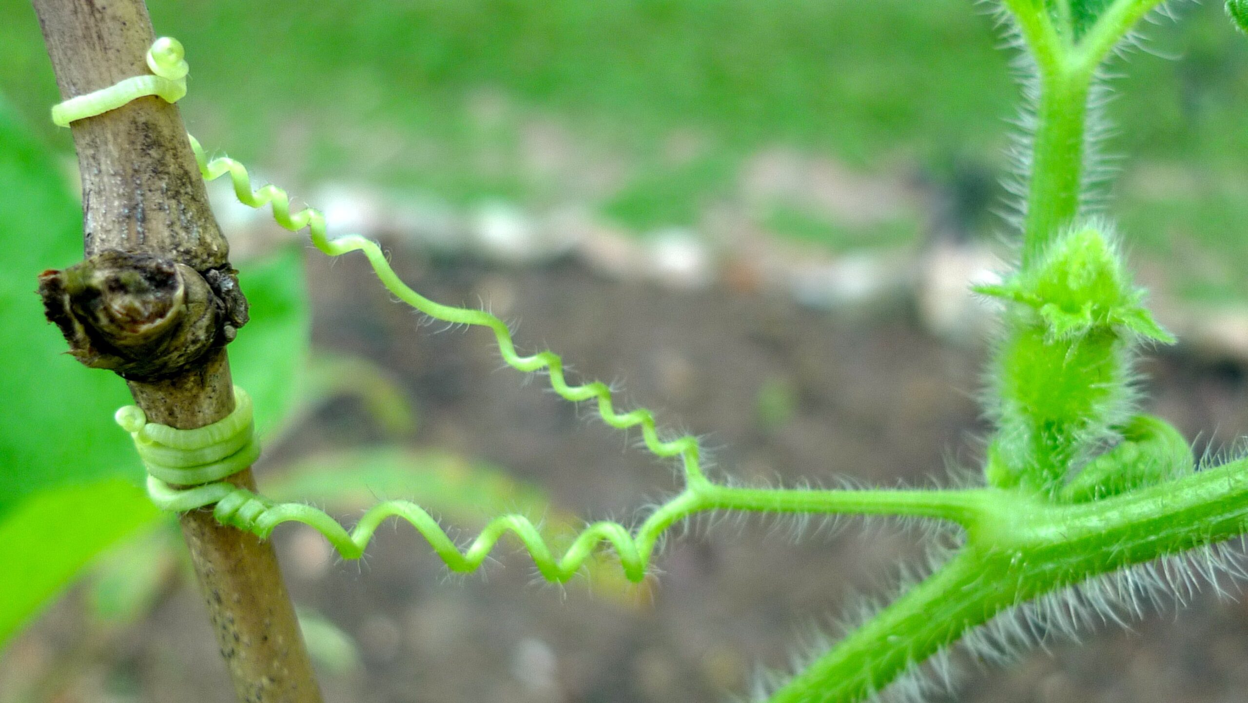 Học cách sống cuộc đời của chính mình