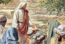 Các Bài Suy niệm Chúa Nhật 28 Thường niên_ C