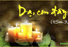 Ơn Gọi Linh Mục Và Tu Sĩ, Những Điều Cần Quan Tâm