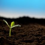 Điều Không Ngờ Đến