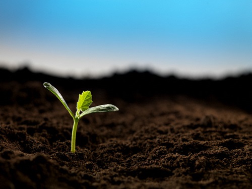 Điều Không Ngờ Đến