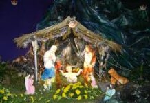 Chiếc hang đá nhà tôi