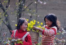 Gửi người bạn thân dịp Xuân về