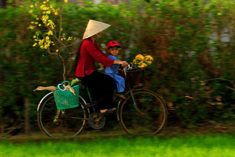 Tin nhắn mùa xuân