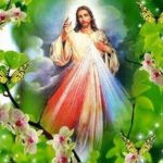 Thông điệp của mùa xuân