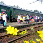 Xuân này! Con sẽ …!