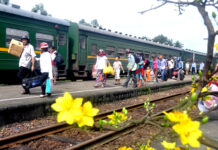 Xuân này! Con sẽ …!