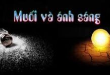 Các bài suy niệm Chúa Nhật 5 Thường niên Năm A