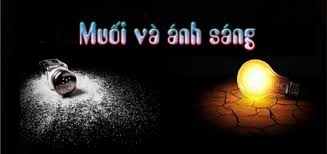 Các bài suy niệm Chúa Nhật 5 Thường niên Năm A