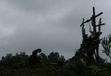 Từ vực sâu…con kêu lên Chúa