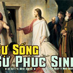 Niềm tin sự sống lại