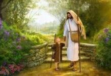 Bước chân theo Chúa