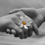 Người chồng tuyệt vời