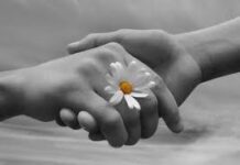Người chồng tuyệt vời