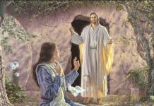 Người Nữ Tông Đồ