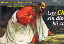 Khám phá lại cuộc thương khó Chúa Giêsu trong cuộc đời mình