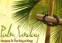 Các bài suy niệm Chúa Nhật Lễ Lá Năm A