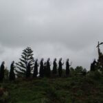 Niềm Tin Được Đánh Thức