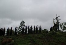 Niềm Tin Được Đánh Thức