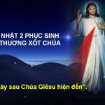 Các bài suy niệm Chúa Nhật 2 Phục Sinh Năm C (Lòng Thương Xót Chúa)