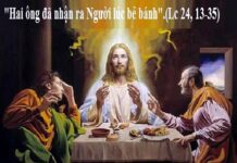 Các bài suy niệm Chúa Nhật 3 Phục Sinh_ A