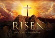 Tóm lược bản tin Giáo Hội tuần qua (03-10/08/2014)