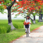 Đừng để vụt mất