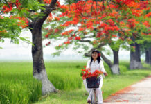 Đừng để vụt mất