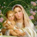 Tản mạn chuyện phụ nữ