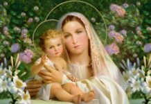 Cộng đoàn có Mẹ Maria hướng dẫn