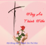 Video: Thánh lễ Tuyên Khấn Lần Đầu và Khấn Trọn Đời, Mừng Kim-Ngân Khánh_2022