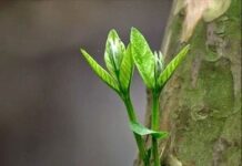 Điều làm chúng ta đứng vững