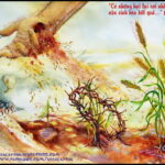 Lời nguyện tín hữu – Chúa Nhật 15 Thường niên_A