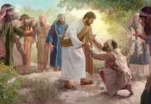 Các bài suy niệm Chúa Nhật 14 Thường Niên Năm A