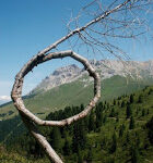 Mảnh vụn suy tư