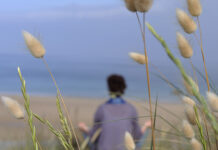 Tu mà không bỏ – Bò mà không tu