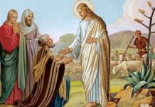 Các bài suy niệm Chúa Nhật 21 Thường Niên A