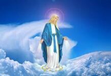 Chút tình con thơ